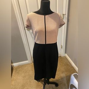 Beautiful Ann Taylor dress. It is so flattering on with the black at the bottom